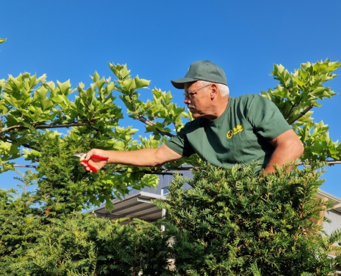 Yasiflor Gartenpflege Unterhaltsarbeiten